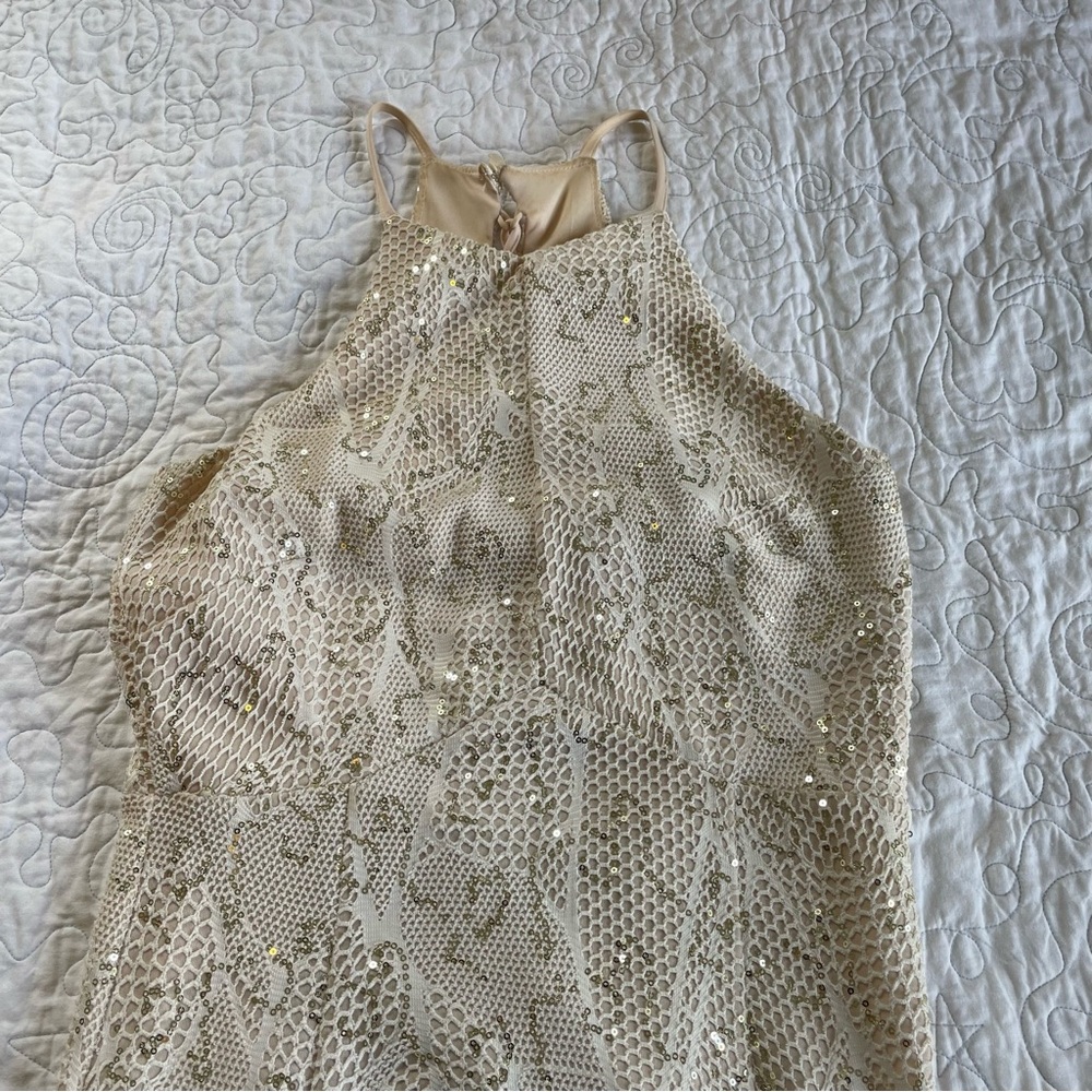 Elegant Beige Lace Dress